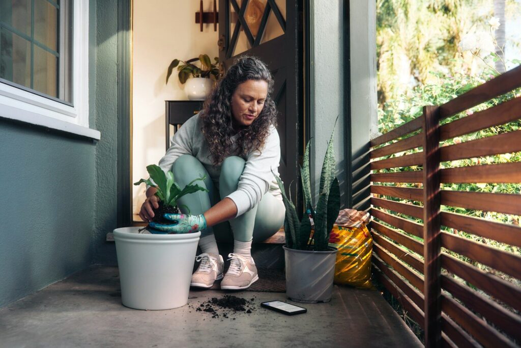 Woman planting a small houseplant in a pot